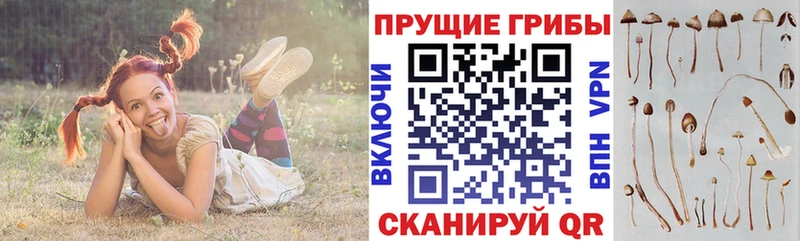 гидра ТОР  Невельск  Псилоцибиновые грибы GOLDEN TEACHER 